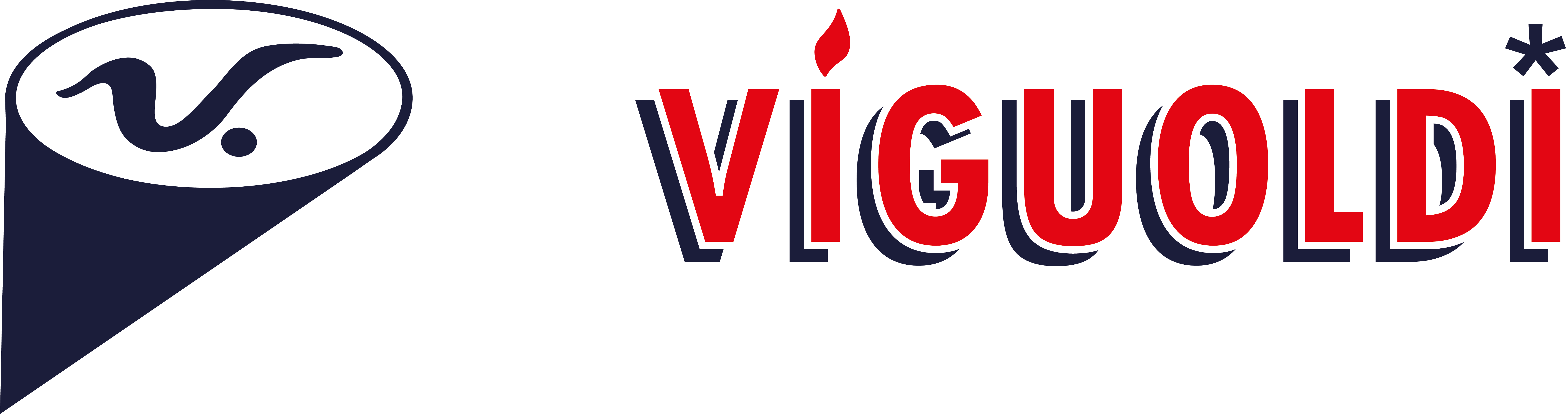 logo viguoldi